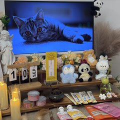 宠物家长客户见证