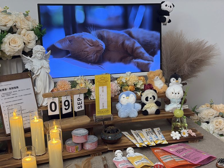 宠物纪念相册与追思布置